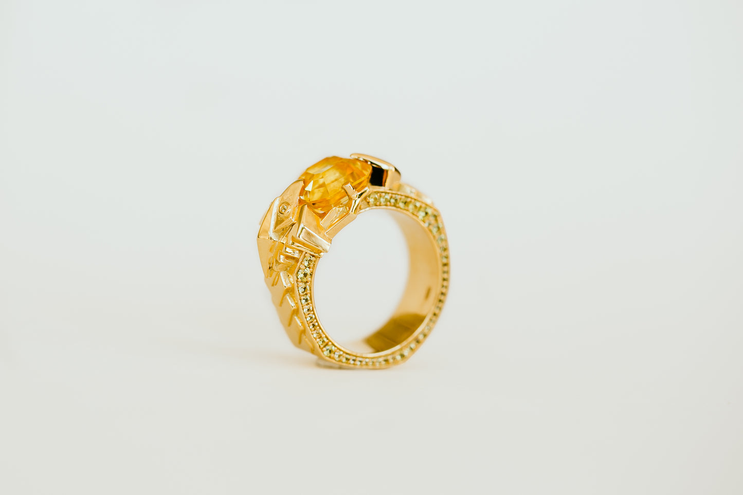 Book your Vedic Horoscope Reading